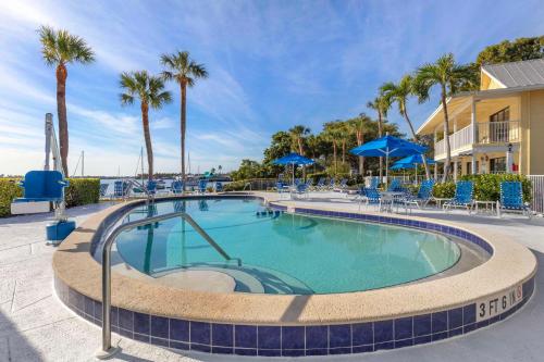 a large swimming pool with blue chairs and palm trees at Hilton Vacation Club Charter Club Naples Bay in Naples