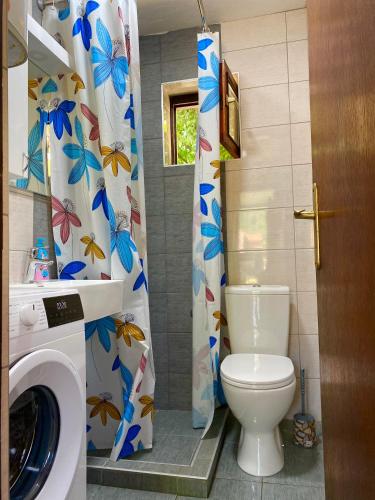 a bathroom with a toilet and a washing machine at Vikendica na Drini in Banja Koviljača