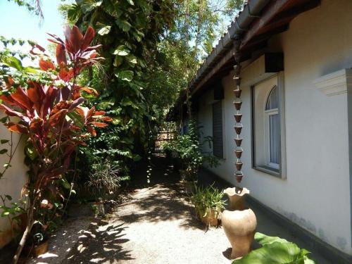 Κήπος έξω από το Villa Mango