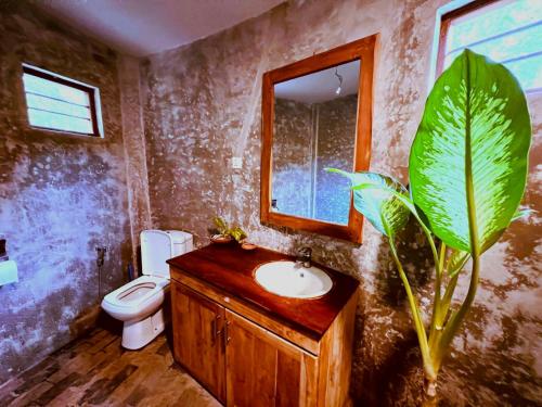 a bathroom with a sink and a toilet and a mirror at Turtle Watch Cabana in Tangalle