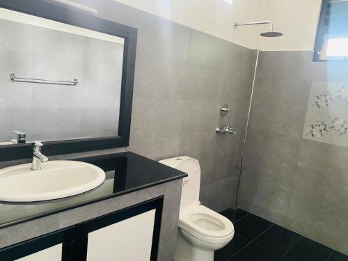 a bathroom with a sink and a toilet at Silver Lake Villa & Boat Safari in Balapitiya