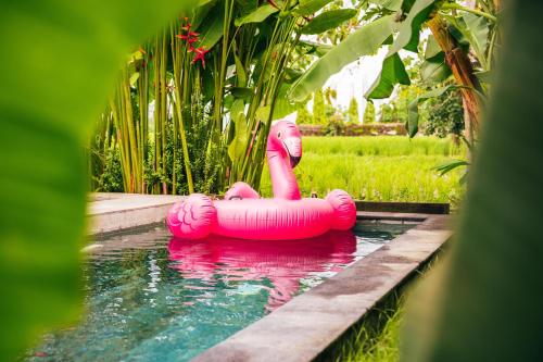 an inflatable pink flamingo in a pool of water at Wander Havens Digital Nomad Tiny Houses in Canggu