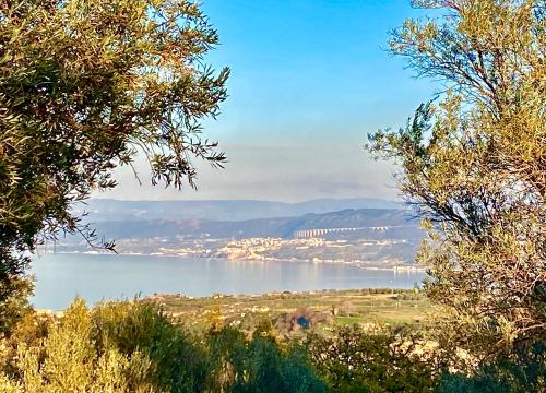 a view of a lake from between two trees at Casa Ruris - Country residence in Briatico