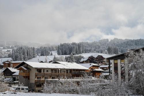 Appartement Cabane des Neiges