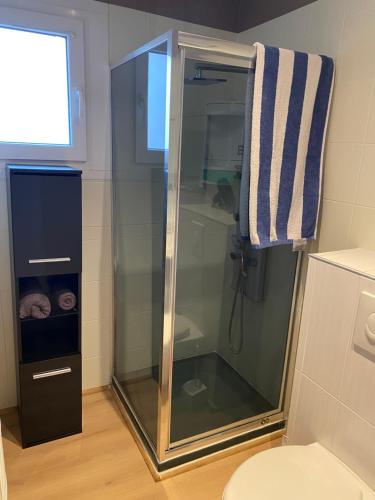 a glass shower in a bathroom with a toilet at Nancy, Magnifique studio totalement climatisé, meublé, salle de bains et wc séparés, parking privé, cuisine équipée, WIFI in Malzéville