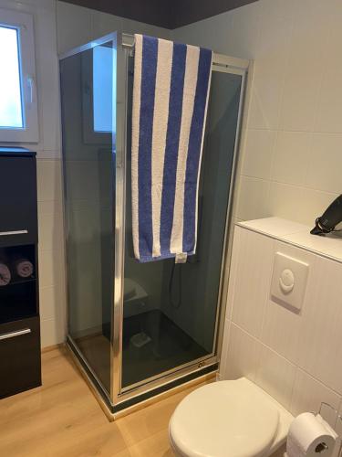 a bathroom with a shower with a toilet and a towel at Nancy, Magnifique studio totalement climatisé, meublé, salle de bains et wc séparés, parking privé, cuisine équipée, WIFI in Malzéville