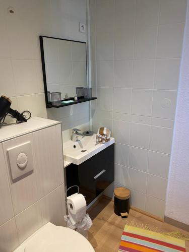 a bathroom with a sink and a toilet and a mirror at Nancy, Magnifique studio totalement climatisé, meublé, salle de bains et wc séparés, parking privé, cuisine équipée, WIFI in Malzéville