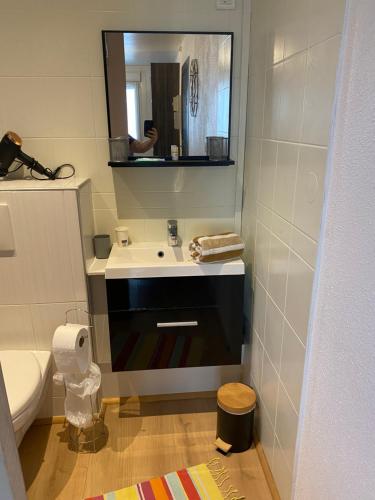 a bathroom with a sink and a mirror at Nancy, Magnifique studio totalement climatisé, meublé, salle de bains et wc séparés, parking privé, cuisine équipée, WIFI in Malzéville