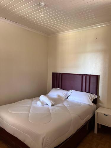 Una cama con dos almohadas encima en una habitación. en Furnished 2 bedroom in Thika, en Thika