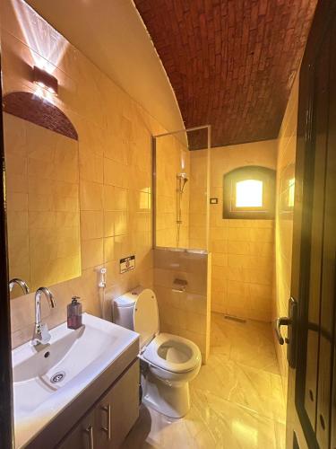 a bathroom with a toilet and a sink at Nubian Soul Guest Houses in Aswan
