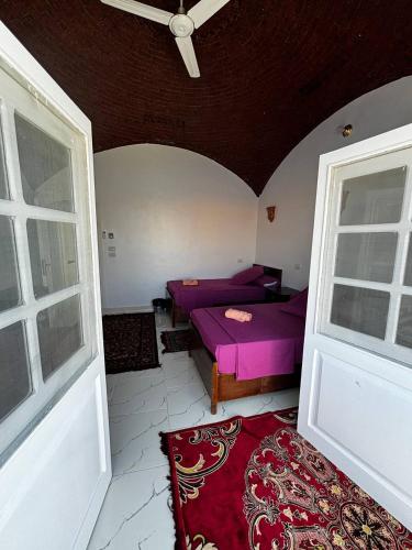 a room with purple beds and a room with windows at Nile View Guest House in Aswan