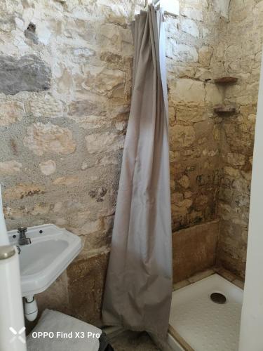 une salle de bain avec un lavabo et un rideau de douche dans l'établissement Orangerie du Saulce, à Escolives-Sainte-Camille