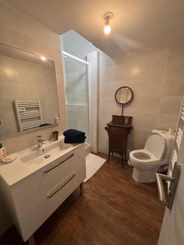 une salle de bain avec un lavabo, des toilettes et un miroir dans l'établissement le Prestige de Béziers, à Béziers