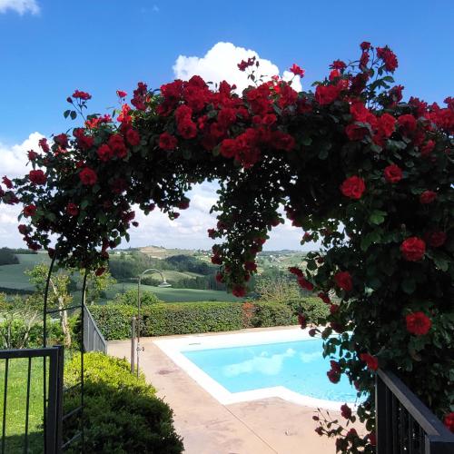 an arch with red roses and a swimming pool at Casa Rovelli in Alfiano Natta