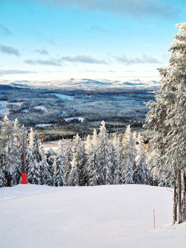 a snow covered slope with trees and a valley at Mysig timmerstuga på dalagård in Leksand