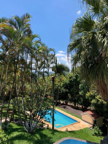 a pool in a yard with palm trees at Chácara casa da sogra in Santana de Parnaíba