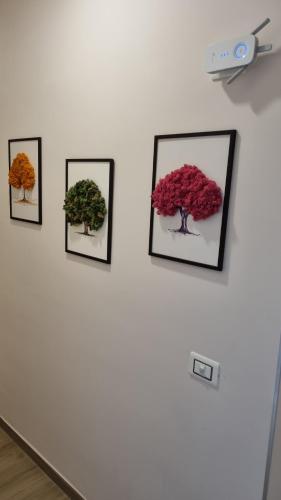 four pictures of trees on a white wall at MAMA GUEST HOUSE in Ciampino