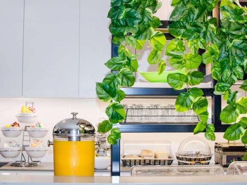 a kitchen with a plant hanging from a shelf at ibis budget Sydney East in Sydney
