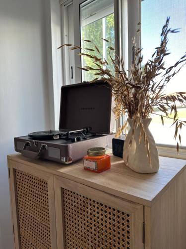 a desk with a laptop and a vase with a plant at Casa da Aldeia in Alcácer do Sal