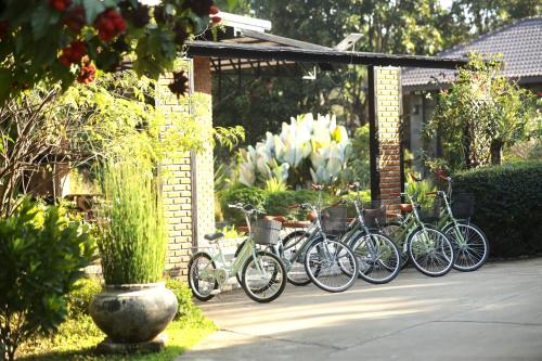 a row of bikes parked next to a brick wall at Le-Mao Chiang Dao in Chiang Dao