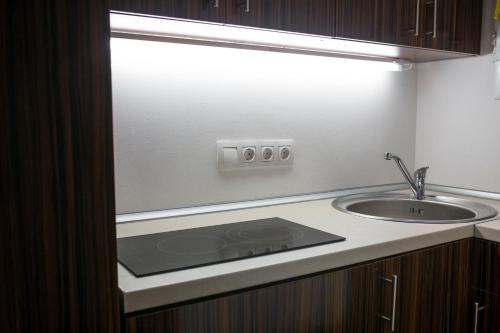 Dapur atau dapur kecil di Elisabeth Bridge Apartmans