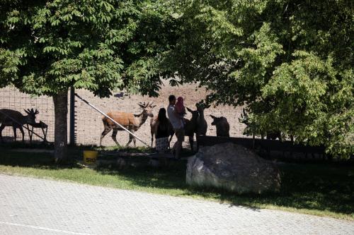 a group of people standing next to some animals at Schätzlhof OHG in Ruderting