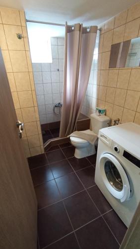 a bathroom with a washing machine and a toilet at House Eugenia Sarti in Sarti
