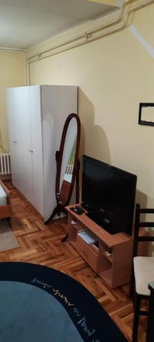 a living room with a tv and a mirror at Apartman Mikica in Pančevo