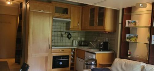 Photo de la galerie de l'établissement STUDIO PIED DE PISTE PELVOUX 1, à Vars