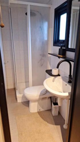 Un baño con ducha, inodoro y lavabo. en luxury chalet by the forest!, en Anloo