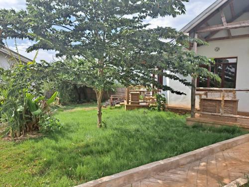 a tree in the yard of a house at Jua Manyara Lodge & Camp Site in Mto wa Mbu
