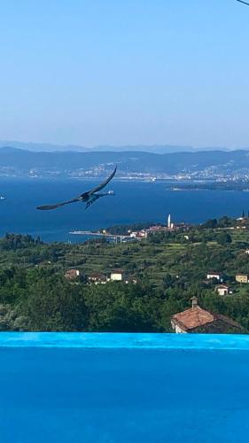 Φυσικό τοπίο κοντά σε αυτό το διαμέρισμα