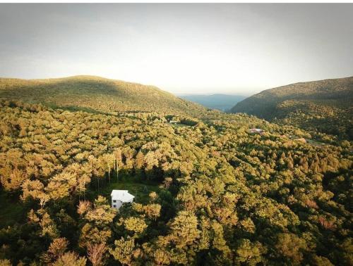 an aerial view of a house in the middle of a forest at Cozy Mountain Home in the Catskills - Fall Views & Trails in Elka Park