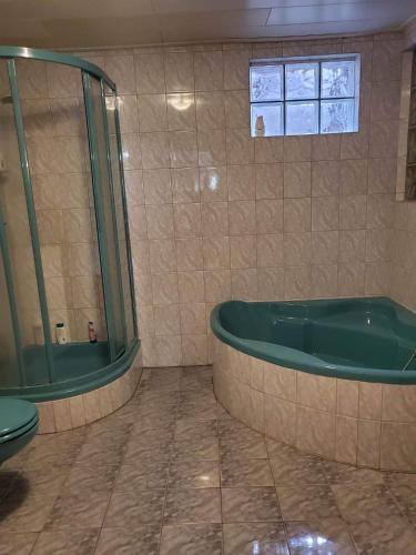 a bathroom with a tub and a toilet at Ferienhaus Brenda in Schillingsfürst