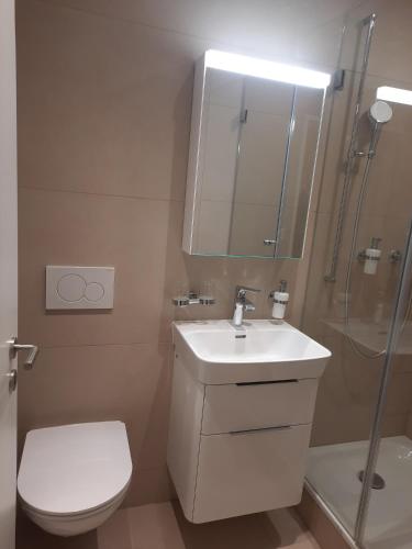 a bathroom with a toilet and a sink and a shower at Apartments Greifengasse - Managed by Hotel Rheinfelderhof in Basel
