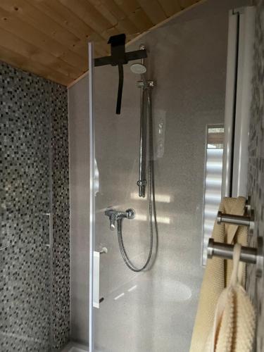 a shower in a bathroom with a shower head at Tiny House Paula in Wahrenholz