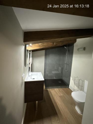 a bathroom with a sink and a toilet at Principal Plaza in Salamanca