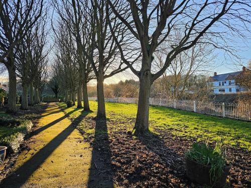 a row of trees with their shadows on the grass at Your Home from Home - River bank in Cox Green
