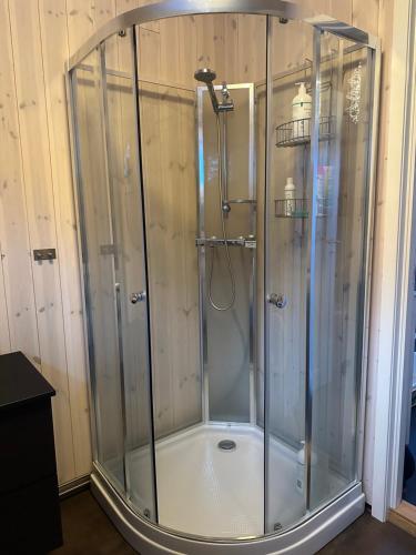 a shower with a glass enclosure in a bathroom at Northern Lights Lodge in Narvik
