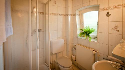 a bathroom with a toilet and a sink at Harz hotel Iris in Sieber
