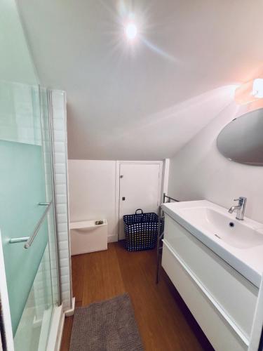 une salle de bain avec un lavabo et un miroir et des toilettes dans l'établissement Duplex T5 au pied de la plage, à Saint-Jean-de-Luz