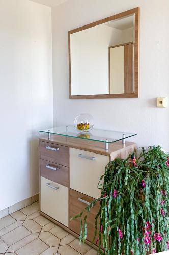 a dressing table with a mirror and a plant at Am Heißberg in Fehring
