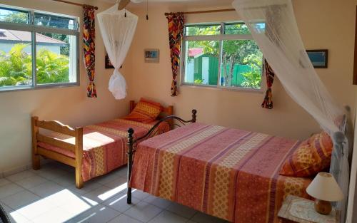 a bedroom with two beds and two windows at T2 Bas de villa Les Hibiscus in Sainte-Anne
