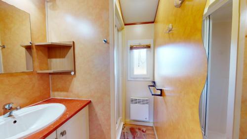 une petite salle de bain avec un lavabo et une douche dans l'établissement Le Chalet de L Auzance - Piscine & Plage, à Brem-sur-Mer