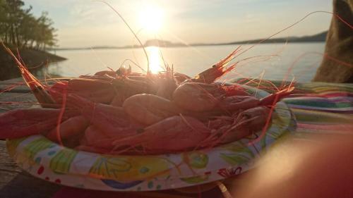 a bunch of shrimp in a basket on a beach at Koselig feriehus ved fjorden med panorama utsikt in Hjelmeland