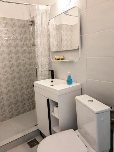 a bathroom with a toilet and a sink and a mirror at Central Apartments in Craiova