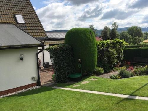 a yard with a large bush next to a house at Ferienhaus Olbernhau 4 Sterne - Familie Walther in Olbernhau