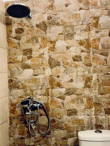 a bathroom with a stone wall next to a toilet at Villa Athina 2 in Serres