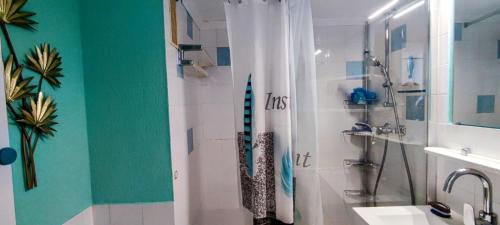 une salle de bain avec douche et lavabo dans l'établissement Appartement Cap D'Agde le Pharo, au Cap d'Agde