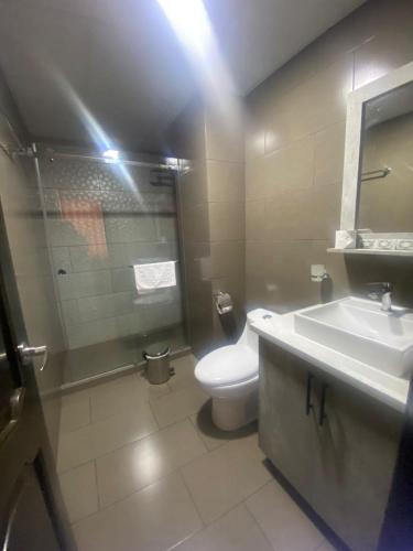 a bathroom with a toilet and a sink and a mirror at Stelar Hostal in Cuenca